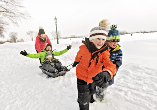 Winter Family Activity Guide